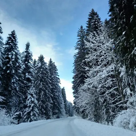 Kuca Za Odmor-kucica