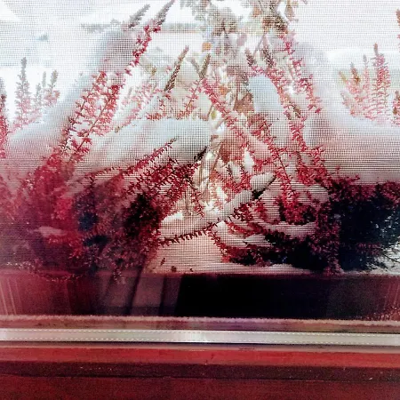 Kuca Za Odmor-kucica شاليه *