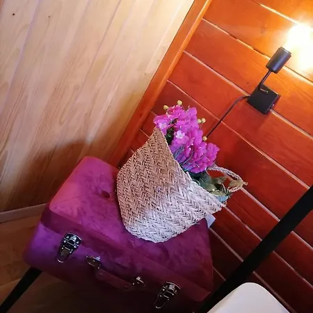 Kuca Za Odmor-kucica Chalet Mrkopalj