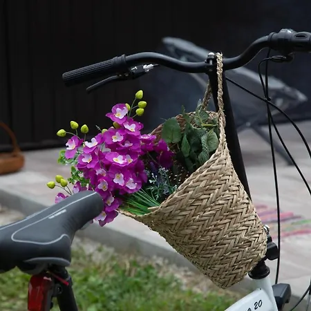 Chalet Kuca Za Odmor-kucica