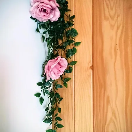 Kuca Za Odmor-kucica Mrkopalj