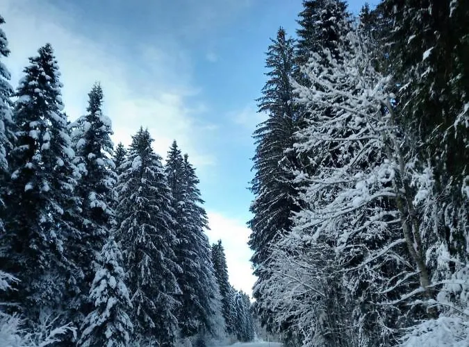 Kuca Za Odmor-kucica